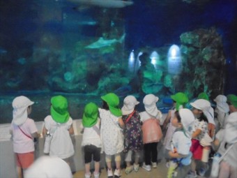 DSC08446_R