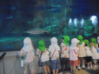 DSC08447_R