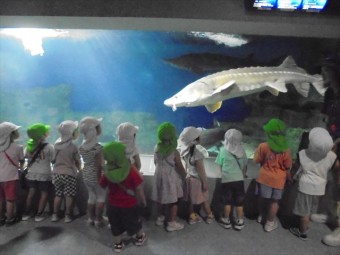DSC08455_R