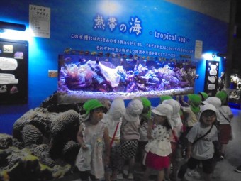 DSC08462_R