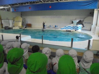 DSC08471_R