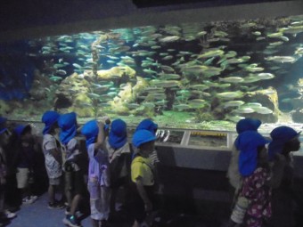 DSC08482_R