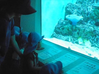 DSC08488_R