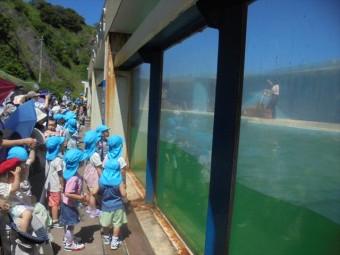 DSC08489_R