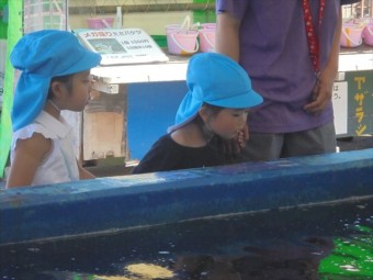 DSC08495_R