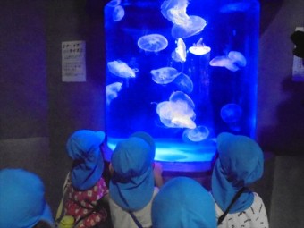 DSC08501_R