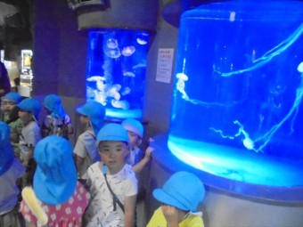 DSC08502_R