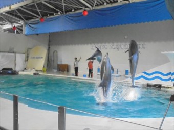 DSC08506_R