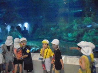 DSC08515_R