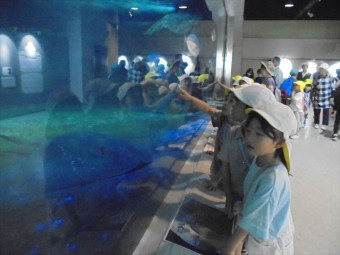 DSC08519_R
