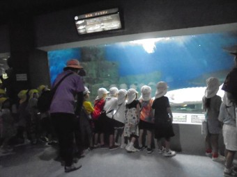 DSC08520_R