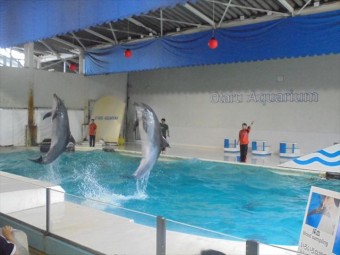 DSC08527_R
