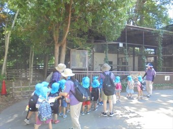 DSC08665_R