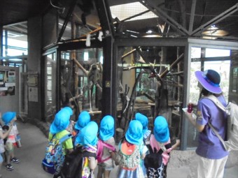 DSC08681_R