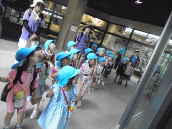 DSC08682_R