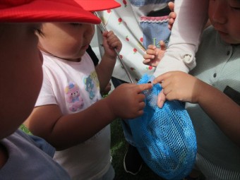 IMG_9229_R