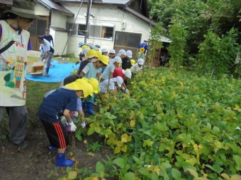 DSC08954_R