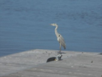 DSC09053_R