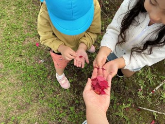 IMG_0536_R
