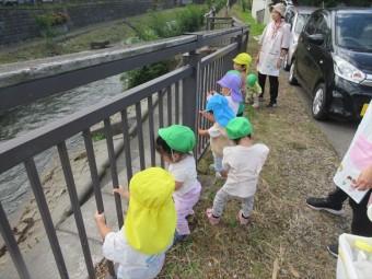 IMG_9487_R