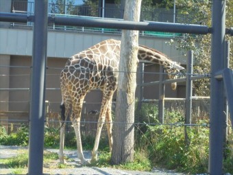 DSC09402_R