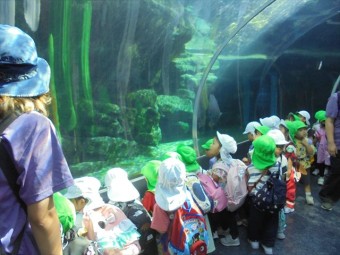 DSC09416_R