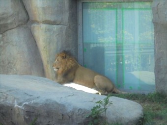DSC09427_R